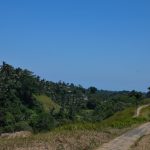 Five Days in Ubud ---  Bali